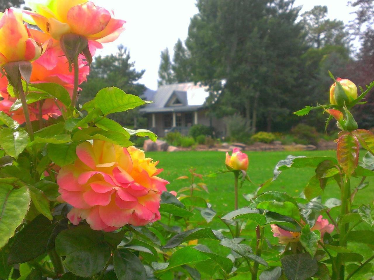 Apple Orchard Inn Hermosa Exterior foto
